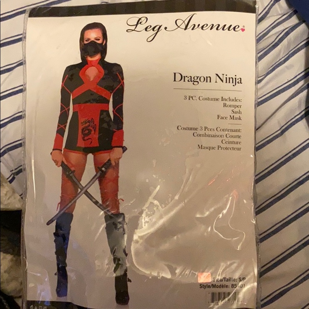 Dragon ninja Halloween costume